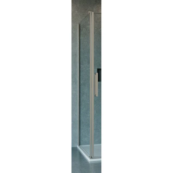 Crosswater Optix 10 Brushed Stainless Steel Side Panel for Pivot Door 1 Crosswater Optix 10 Brushed Stainless Steel Side Panel for Pivot Door